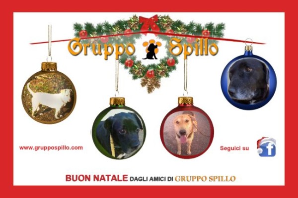 Gruppospillo_Natale2015_invito_retro_-bozza